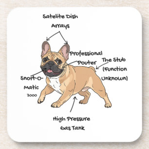 Dessous-de-verre Illustration drôle de l'anatomie d'un bouledogue f