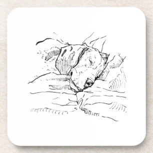 Dessous-de-verre Illustration d'un chien Beagle amateur