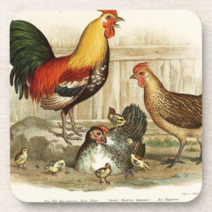 Dessous-de-verre Illustration vintage de famille de poulet