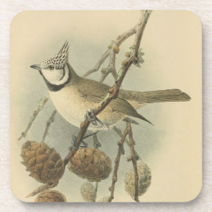 Dessous-de-verre Illustration vintage de mésange huppée européenne