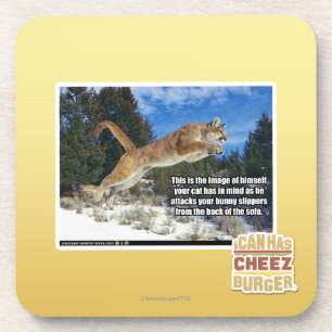 Dessous-de-verre Image de chat