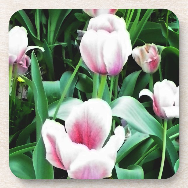 Dessous-de-verre Image des tulipes roses (Devant)
