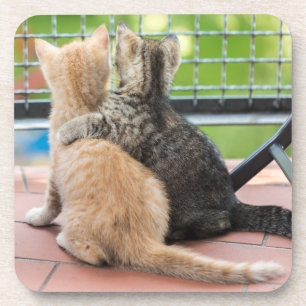Dessous-de-verre Images de Getty deux chatons sur un balcon