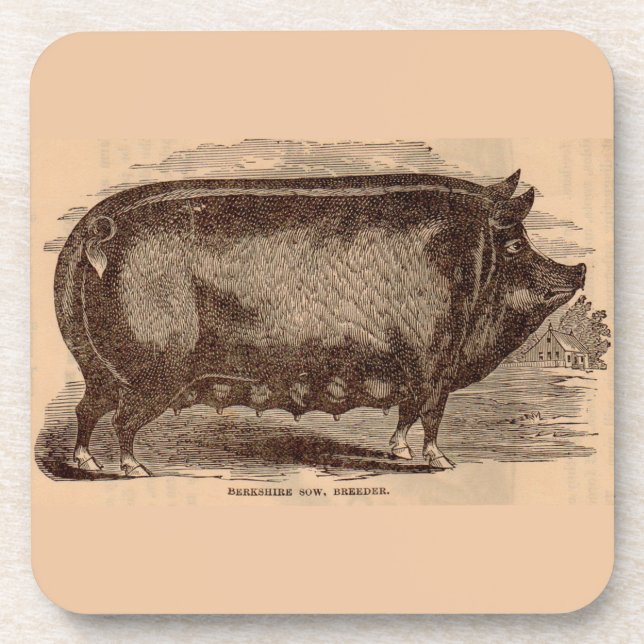 Dessous-de-verre Impression de cochon du 19e siècle Truie Berkshire (Devant)