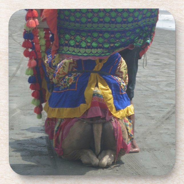 Dessous-de-verre Imprimé/graphique en forme de chameau (Devant)