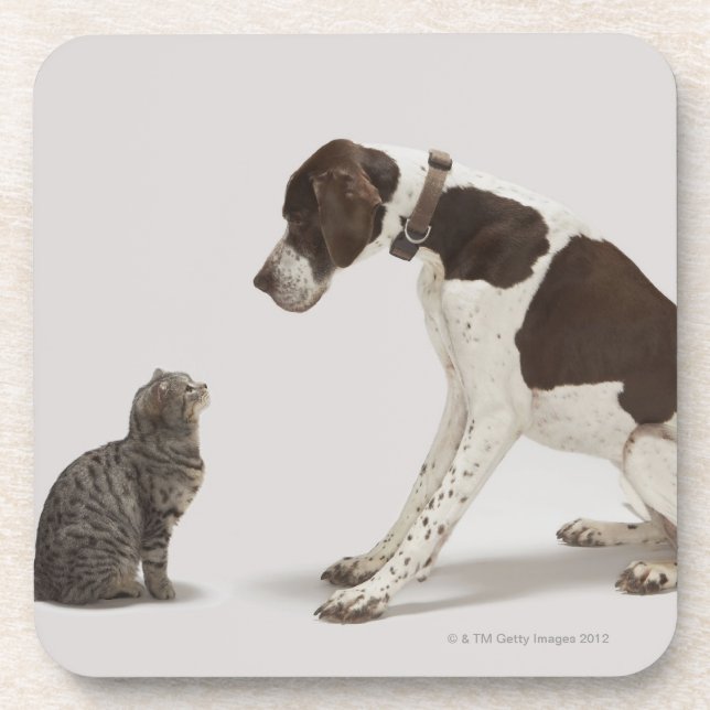 Dessous-de-verre Indicateur regardant vers le bas le chat (Devant)