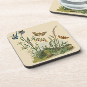Dessous-de-verre Insectes de jardin vintage, papillons, chenilles