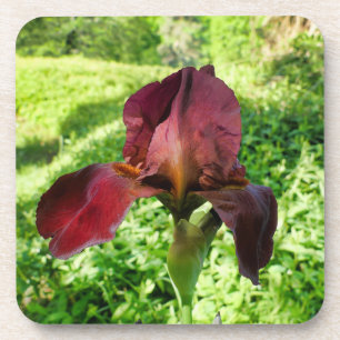 Dessous-de-verre Iris à poils
