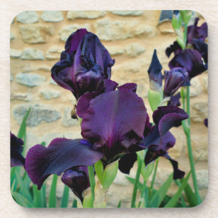 Dessous-de-verre Iris à poils