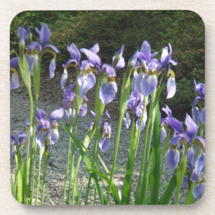 Dessous-de-verre Iris bleu