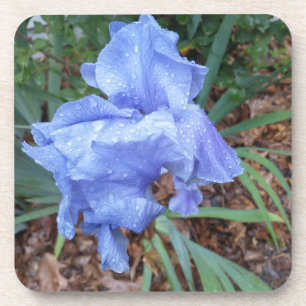 Dessous-de-verre Iris bleu