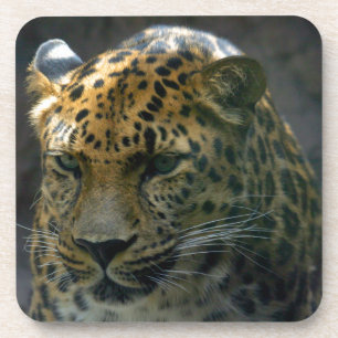 Dessous-de-verre Jaguar