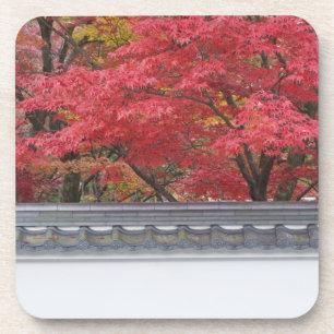 Dessous-de-verre Japon, Kyoto, Couleur d'automne au temple Eikando