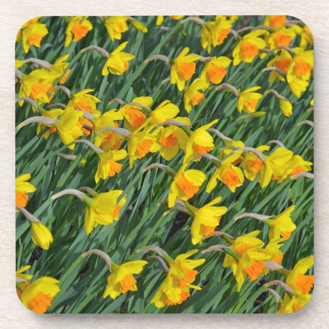 Dessous-de-verre Jardin de la jonquille jaune vif (Devant)