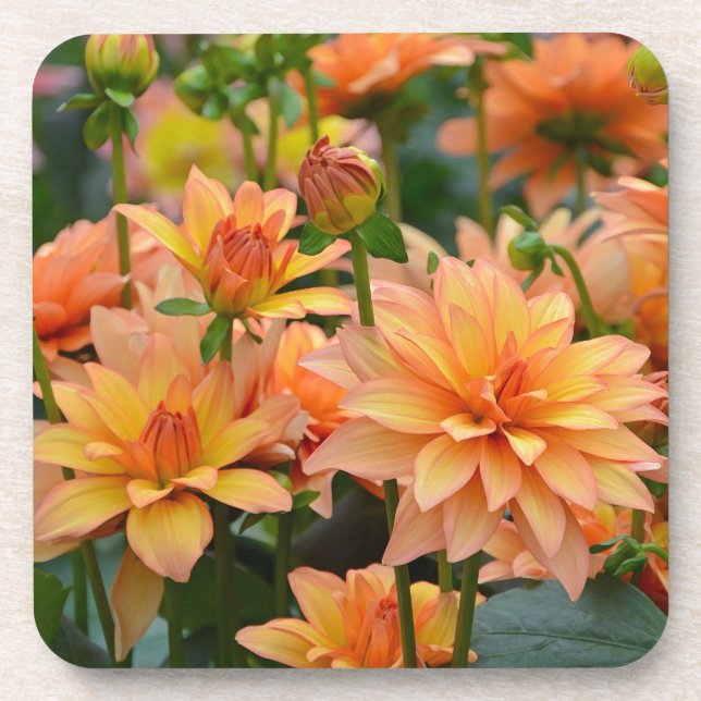 Dessous-de-verre Jardin fleuri de dahlia orange (Devant)