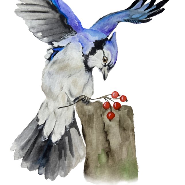 Dessous-de-verre Jay bleu d'oiseau de la forêt (Créateur téléchargé)