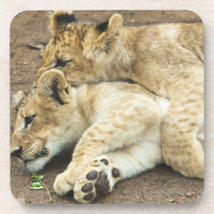 Dessous-de-verre Jeu de deux petits animaux de lions