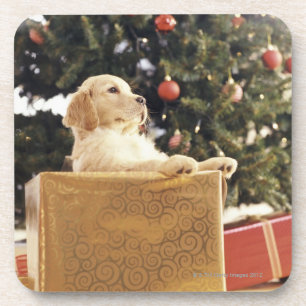 Dessous-de-verre Jeune Labrador se penchant un cadeau de Noël