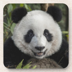 Dessous-de-verre Jeune panda heureux, Chine