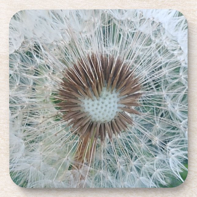 Dessous-de-verre Joli Dandelion blanc (Devant)