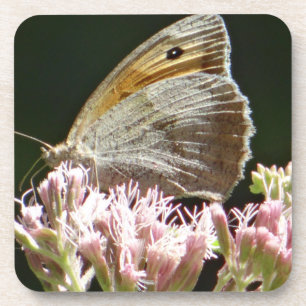 Dessous-de-verre Joli gros papillon