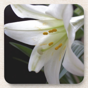 Dessous-de-verre Jolie fleur de lys de Pâques blanche en noir