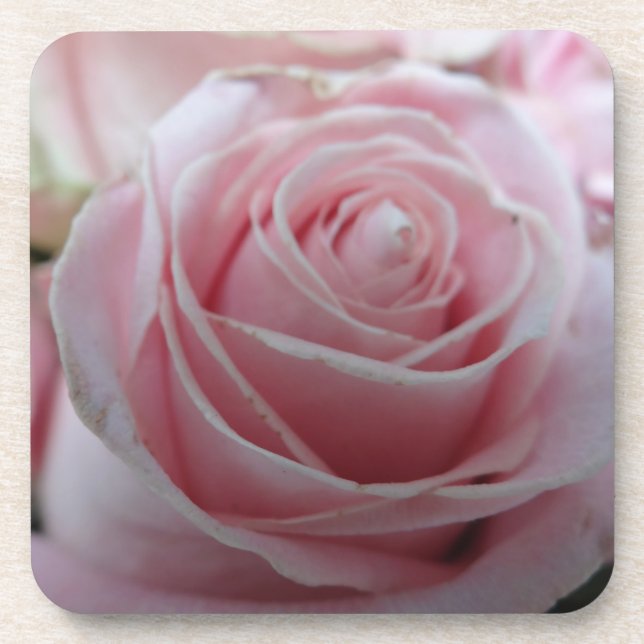 Dessous-de-verre Jolie fleur rose (Devant)