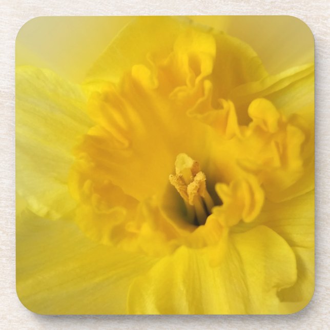 Dessous-de-verre jonquille jaune (Devant)
