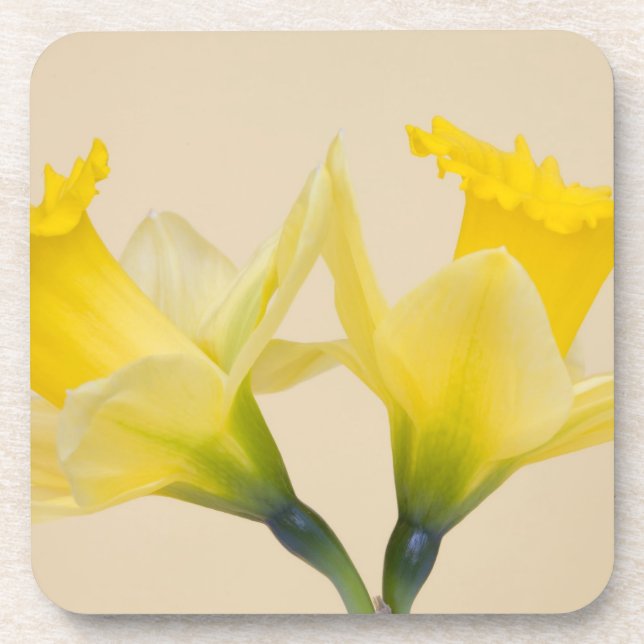 Dessous-de-verre Jonquilles jaunes (Devant)