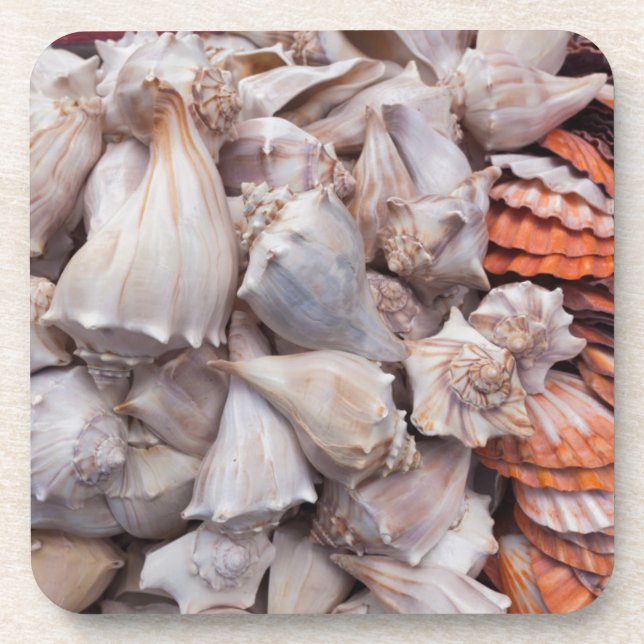 Dessous-de-verre Key West, coquillages (Devant)