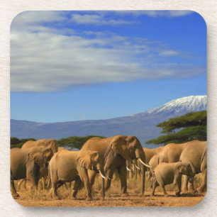 Dessous-de-verre Kilimanjaro et éléphants