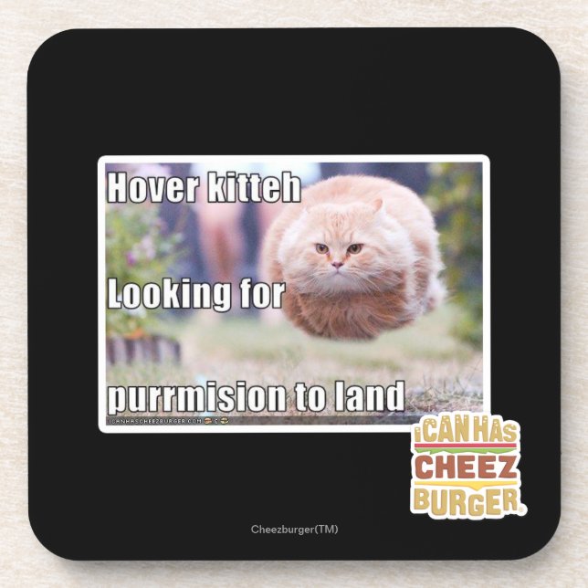 Dessous-de-verre Kitteh de vol plané (Devant)