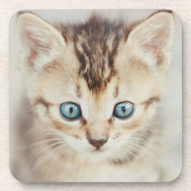 Dessous-de-verre Kitty observé par bleu (Devant)