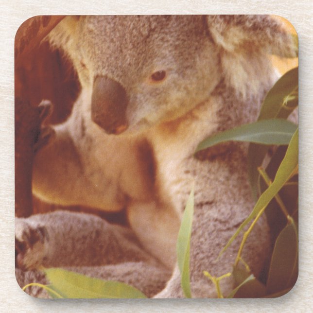 Dessous-de-verre Koala Bear Love (Devant)