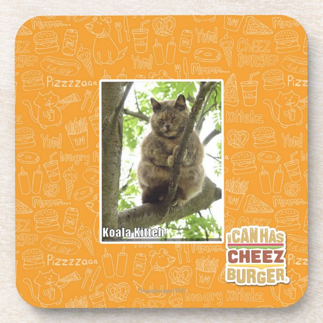 Dessous-de-verre Koala Kitteh (Devant)