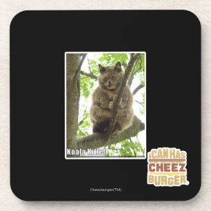 Dessous-de-verre Koala Kitteh