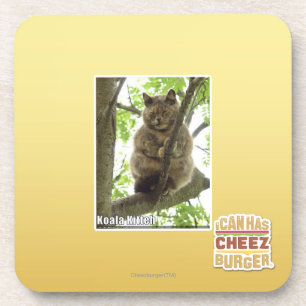 Dessous-de-verre Koala Kitteh