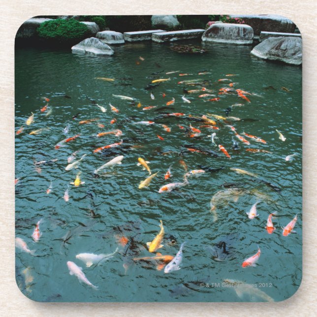 Dessous-de-verre Koi dans un étang (Devant)
