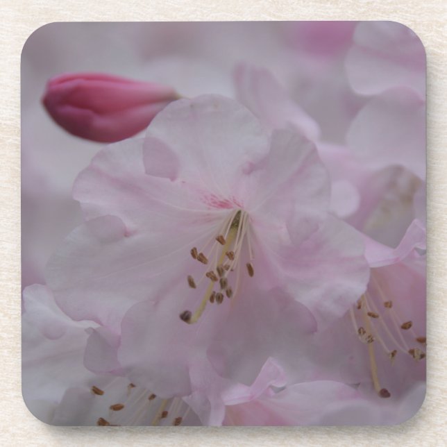 Dessous-de-verre La caresse de la mère (Devant)