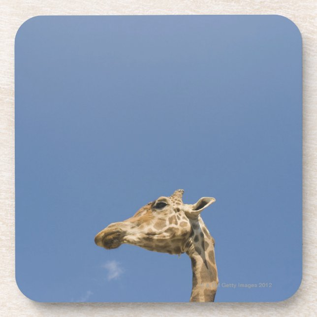 Dessous-de-verre La tête de la girafe (Devant)
