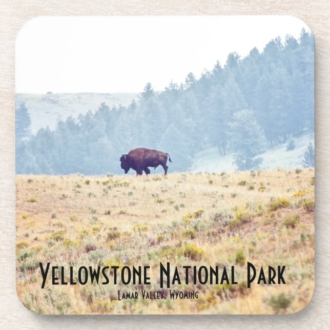 Dessous-de-verre Lamar (Devant)