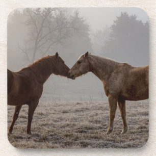Dessous-de-verre L'amour du cheval