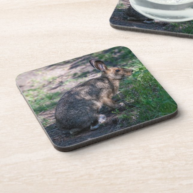 Dessous-de-verre Lapin Brown, Repos dans la nature (Côté gauche)