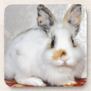 Dessous-de-verre Lapin de Pâques