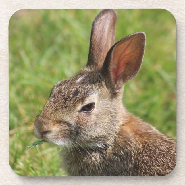 Dessous de verre lapin lapin (Devant)