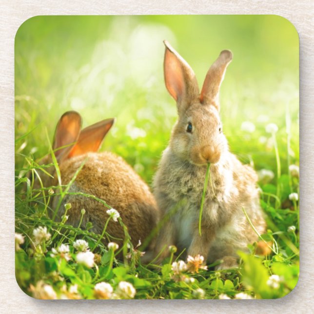 Dessous-de-verre Lapins de Pâques (Devant)