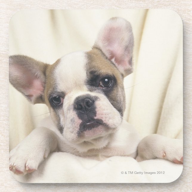 Dessous-de-verre Le bouledogue, souvent appelé le bouledogue (Devant)