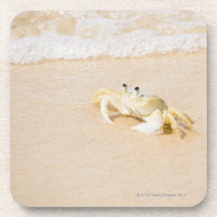 Dessous-de-verre Le Brésil, Rio de Janeiro, Buzios, crabe dessus