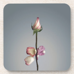 Dessous-de-verre Le dernier pétal...