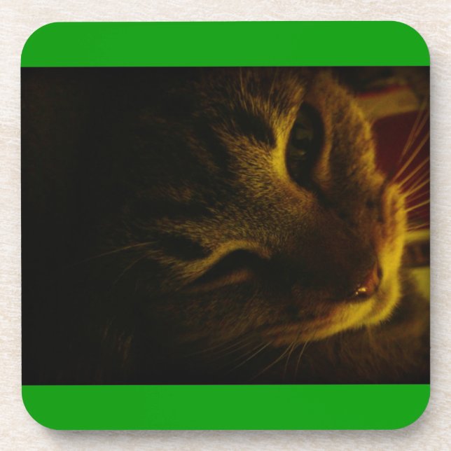 Dessous-de-verre Le gros plan d'Indigo (Devant)